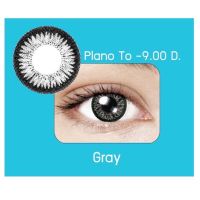 กล่องฟ้า GRAY มินิ mini สีเทา คอนแทคเลนส์ Maxim แม็กซิม Contact lens คอนแทคเลนส์สี รายเดือน ตาโต บิ๊กอาย ค่าสายตา -6.50