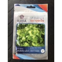&amp;lt;รับประกันความงอก&amp;gt; เมล็ดพันธุ์ ผักคุณภาพ ตราจุยเจีย ผักสลัดกรีนโอ๊คลีฟ ออโรร่า กรีนโอ๊คใบใหญ่