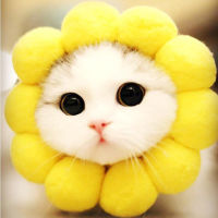 【MissLan】Cat and Dog Sunflower Headgear (hat) (M: 30-35CM) Dog Cat Wig Pet Hat Pet Role-playing Hat Dog and Cat Hat