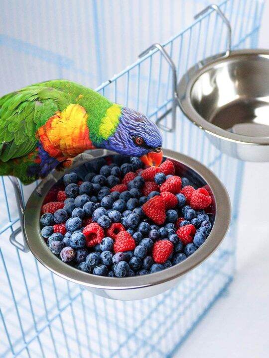 pet-birds-parrot-hanging-cage-bowl-dish-cup-anti-turnover-stainless-steel-feeding-food-drinking-feeder-for-parakeet-lovebird