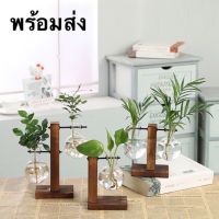 พร้อมส่ง [Home pot shop]แจกัน แจกันแก้วไฮโดรโปนิค สไตล์วินเทจ  สุดน่ารัก ชุดแจกันแก้วสุดมินิมอล