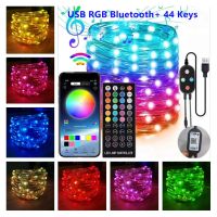 [Ricky Lighting] RGB บลูทูธ App ระยะไกล Led ไฟนางฟ้าลวดทองแดงวันหยุดกลางแจ้งโคมไฟพวงมาลัยสำหรับต้นคริสต์มาสงานแต่งงานตกแต่ง