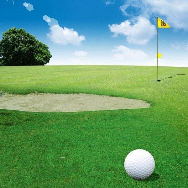 Ready Stock Green Grass Seed Golf Course Lawn Seeds Tall Fescue Festuca ...