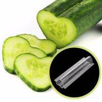 ◕✤ Plastic Cucumber Growth Forming Mold Heart/Star Fruit Shaped Mould Vegetable Growing Mold Transparent Garden Nursery Pot