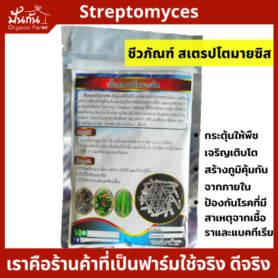 ชีวภัณฑ์ สเตรปโตมายซิส Streptomyces  แบบผง100g. ใช้ได้ถึง100L. [มีวิธีการใช้] ช่วยเจริญเติบโต สร้างภูมิคุ้มกันจากภายใน ป้องกัน โรคพืช รากเน่า ผลเน่า ใบจุด สเตรปโตมัยซิส ใช้คู่ ไตรโคเดอร์มา ได้ ปลอดภัย ไม่ใช่เคมี