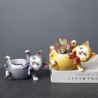 【CC】 Cartoon Resin Pot Vase Desktop Potted Balcony Garden Succulent Planting Pots Plantas Accesorios