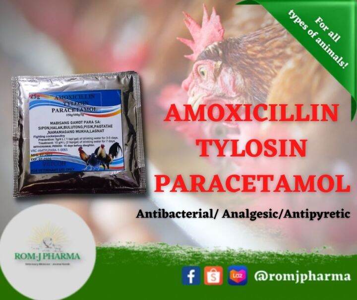 VETCOH AMOXICILLIN+TYLOSIN+PARACETAMOL 25G PACK ROMJ PHARMA Lazada PH