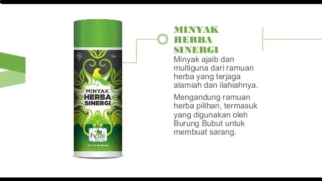 Minyak Urut Burung Bubut Minyak Urut Buat Patah Tulang Minyak Urut Herba Sinergi Minyak Urut Untuk Ibu Mengandung Minyak Urut Untuk Ibu Selepas Bersalin Minyak Urut Untuk Ibu Bersalin Lazada Indonesia