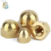 ☊ 5/10/20/50Pcs DIN1587 M3 M4 M5 M6 Brass Cap Hex Nuts Decorative Dome Head Cover Semicircle Acorn Nut