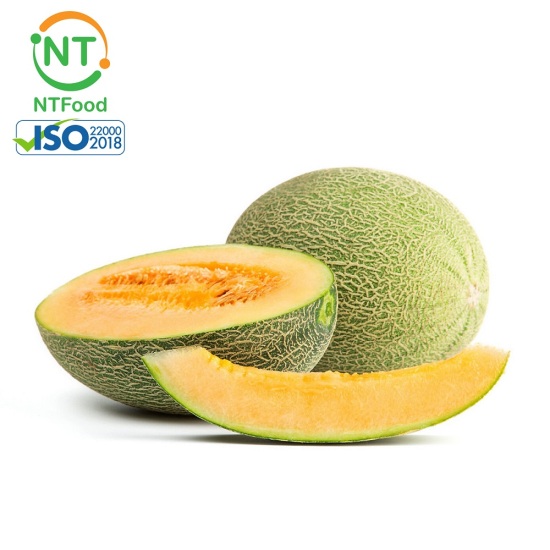 Hcm 1 trái dưa lưới đài loan aladin melon size 1.5 kg ntfood - nhất tín - ảnh sản phẩm 1