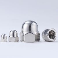 10Pcs M4 M5 M6 M8 M10 M12 Acorn Nut Grade 4.8 304 Stainless Steel Nuts Acorn Cap Nut Dome Nut Cap On Cover Type Nuts