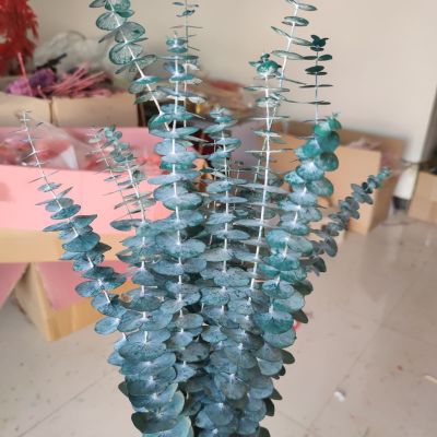 【CC】 Eucalyptus Leaves Preserved Dried Arrangement Decoration Mariage Bouquet Epoxy Resin