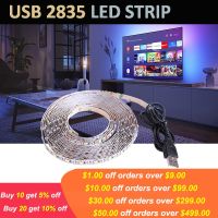 Led Lights Strip 2835 USB Led Strip Lights 5V TV Smart Flexible Neon Strips 5M Led Tape 5V Lights Decoration LED Strip Lighting