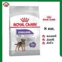 ?ส่งฟรี Royal Canin สุนัขโต ทำหมั่น สูตร Mini Sterilised เม็ดเล็ก ขนาดสินค้า 8 kg เก็บเงินปลายทาง ✨