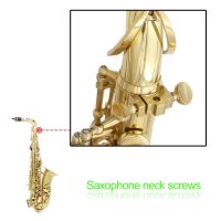 Saxophone Neck Screw Woodwind Accessories Sax Tightening Screws Musical Instrument Parts