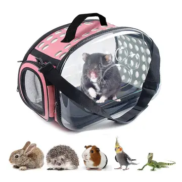 Gerbil carrier hotsell