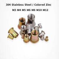 M3 M4 M5 M6 M8 M10 M12 304 Stainless Steel Carbon Steel Colored Zinc Flat Head Rivet Nut Threaded Inserts for Housings Panels