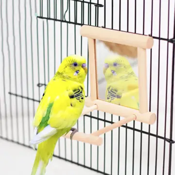 Budgie 2024 mirror toys