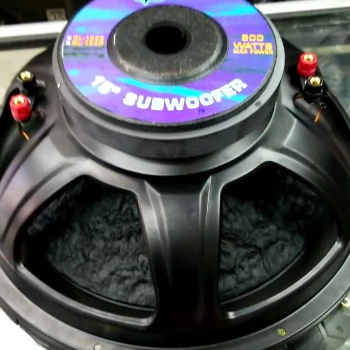 Speaker double coil 15 inch Outlet