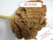 1kg KÊ CHÙM CHO CHIM, VẸT, YẾN PHỤNG, LB