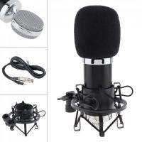 Professional BM 5000 Condenser Microphones with Circuit Control and Gold-plated Large Diaphragm Head for Studio / KTV