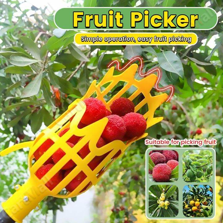 Plastic Harvesting Picker Fruit Picker Farm Picking Device Lazada PH