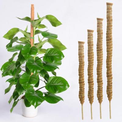 Plant Climbing Trellis Potted Plants Moss Pole Bendable Handmade DIY Free Vine Coconut Palm Silk Support Stake for Garden Food Storage  Dispensers