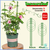 Yolanda โครงเถาวัลย์ เสามะเขือเทศ โครงปลูก อุปกรณ์สำหรับพืชไม้เลื้อย 45cm 60cm plant trellis