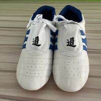 Taekwondo Shoes Child Aadult Comfortable Outsole Breathable Martial Arts Sneaker Man Women Training Shoes Blue Strip