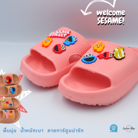 [ลิขสิทธิ์แท้] รองเท้าแตะ ผู้ใหญ่  ลายการ์ตูน เซซามี SESAME  น้ำหนักเบา นุ่มพิเศษ พร้อมส่ง