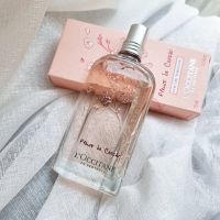 L’OCCITANE Cherry Blossom Eau de Toilette 75 ml น้ำหอมกลิ่นเชอร์รี่บลอสซั่ม น้ำหอมสำหรับผู้หญิง น้ำหอมแนวสดชื่นหวานๆ ไม่ฉุน แนะนำตัวนี้คะ