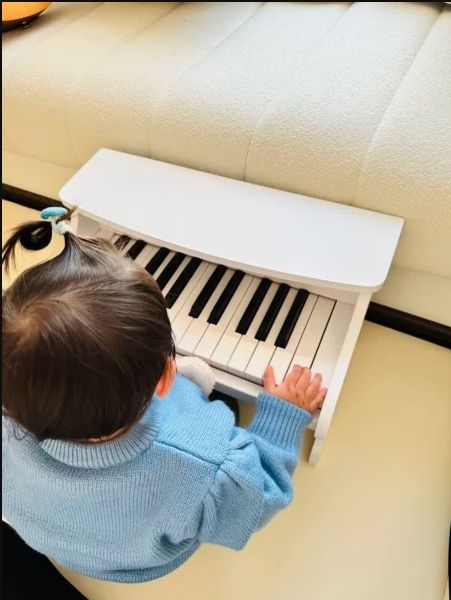 เปียโนไม้เด็ก-งานเสียง-เยอรมัน-เปียโนเด็ก-เปียโนไม้-riczac-เครื่องดนตรีสำหรับเด็ก-6เดือน-6ขวบ-piano-germany-standard
