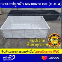 กระบะปลูกผัก แปลงปลูกผัก (ไม่รวมโครง) ขนาด ุ60x100x30 Cm. (กxยxส) สีขาว