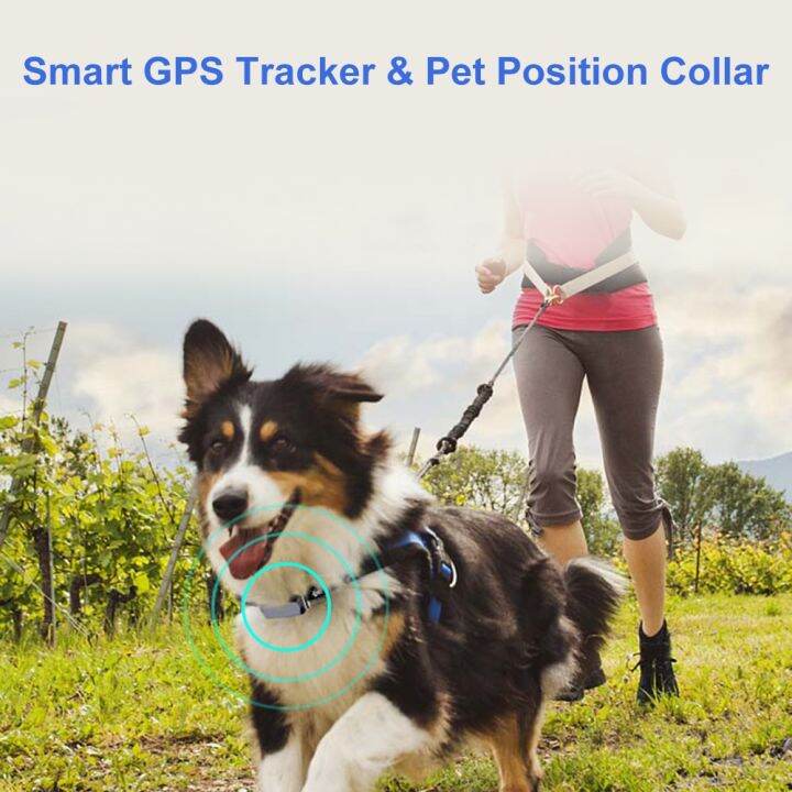 แหวนกระดิ่งติดตามแบบเรียลไทม์-accesorios-para-gatos-เครื่องติดตามสัตว์เลี้ยง-gps-agps-lbs-wifi