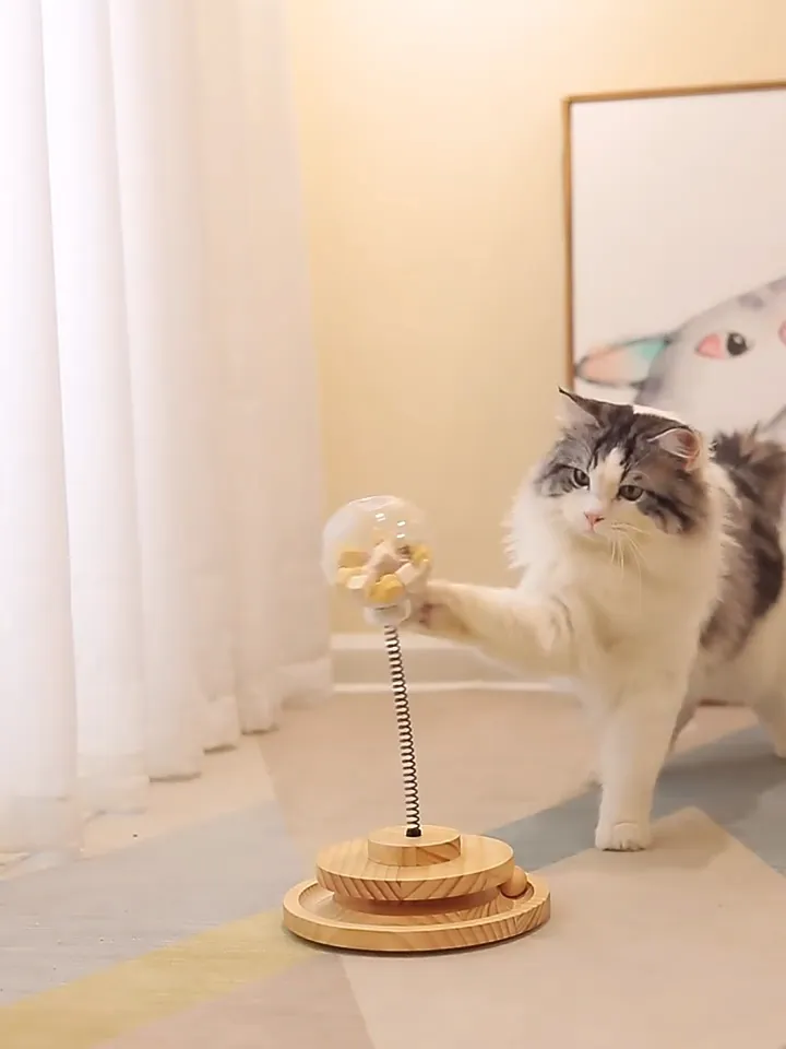 Interactive Cat Feeder Toy - Swinging Ball With Leaking Food