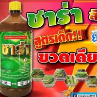 ชาร่า(1ลิตร)หัวยาน๊อคสํตรเย็น(อัลฟาฝ่า-ไซเปอร์เมทริน)