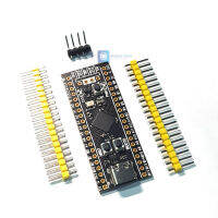 Development Board STM32F411CEU6 STM32F4