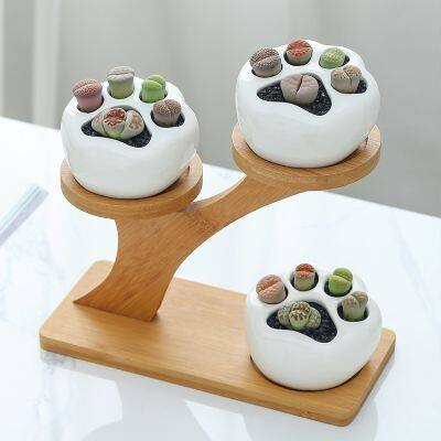 Ceramic Succulent Planter Pot Cat Paw Flowerpot Porcelain Desktop Flower Plant Pot (3 pots 1 bamboo stand)