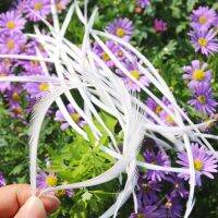 5 7inch Real Goose Biot Feathers Fly Tying Material Plumage Decoration Jewelry Accessories Decoration Filament Plume Wholesale