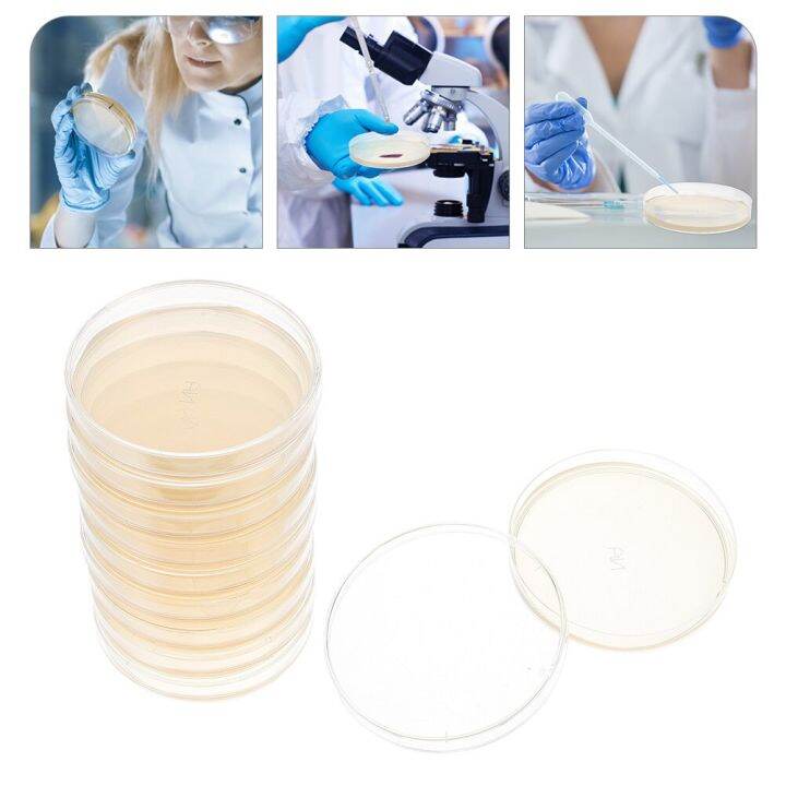 Agar Petri Dish Plates Dishes Science Plate Kit Nutrient Laboratory
