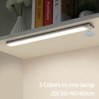 Night Light 20/30/40/60cm Ultra thin LED Light Cabinet Light Motion Sensor Wireless type-c For Kitchen bedroom Wardrobe lighting Night Lights