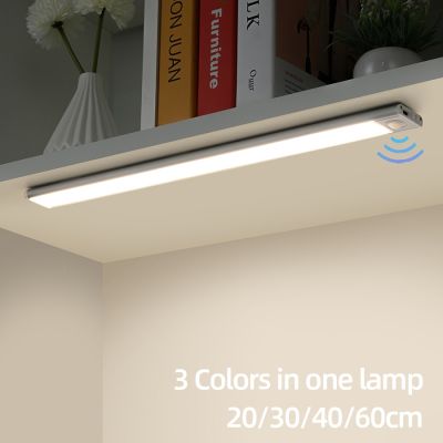 Night Light 20/30/40/60cm Ultra thin LED Light Cabinet Light Motion Sensor Wireless type-c For Kitchen bedroom Wardrobe lighting Night Lights