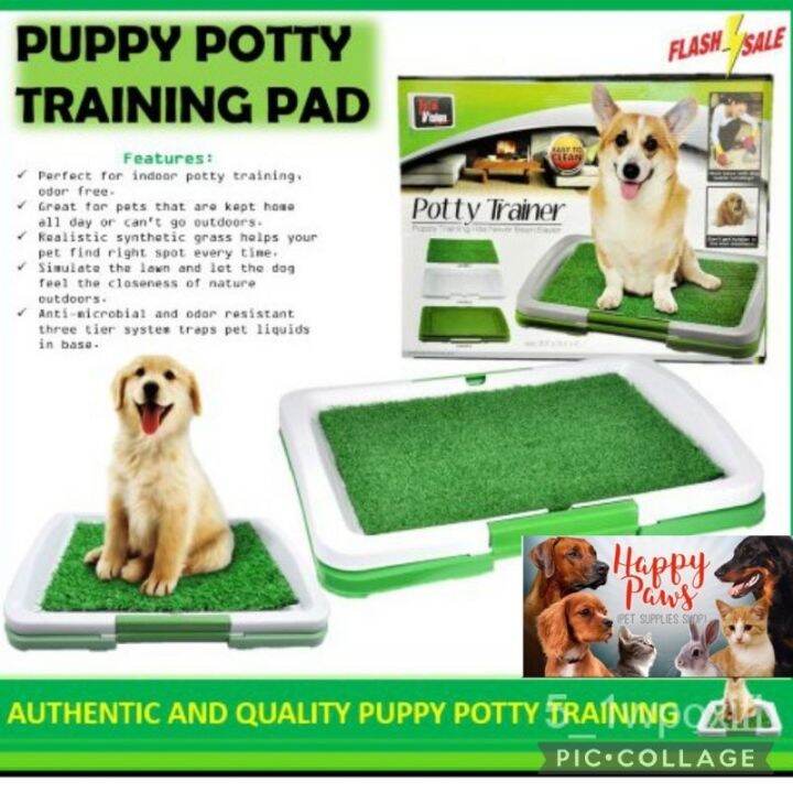 QCcqpuFI 【HAPPY PAWS PET】Pet Potty Training Pad Lazada PH