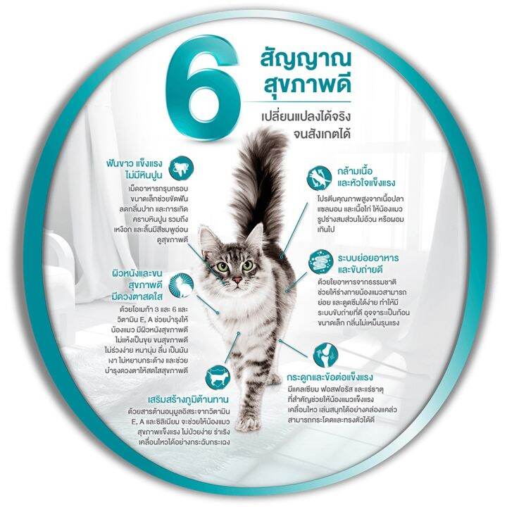 อาหารแมว-purina-one-healthy-adult-with-salmon-and-tuna-เพียวริน่า-วัน-สูตรแมวโต-พร้อมปลาแซลมอน-และทูน่า-2-7กก-2ถุง-purina-one-healthy-adult-with-salmon-and-tuna-cat-food-2-7kg-2bag