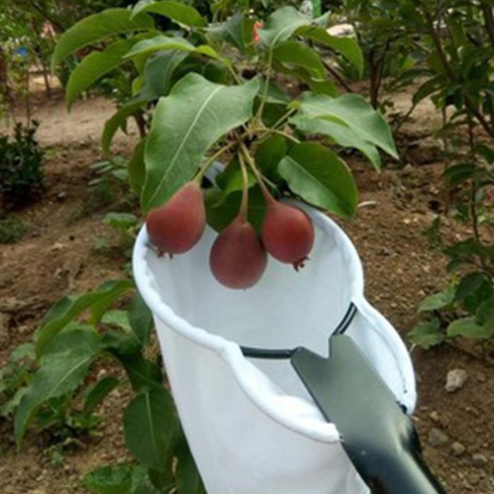 อุปกรณ์เก็บผลไม้-เครื่องเก็บเกี่ยวผลไม้โลหะสำหรับ-apple-pear-cherry-mango-guava-สีส้ม