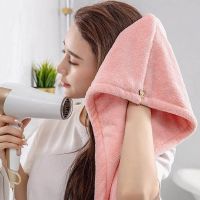 【CW】 Microfiber Hair Drying