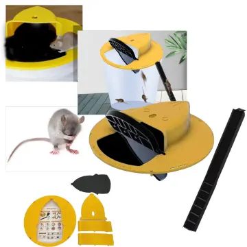 Shop Flip And Slide Mouse Trap online