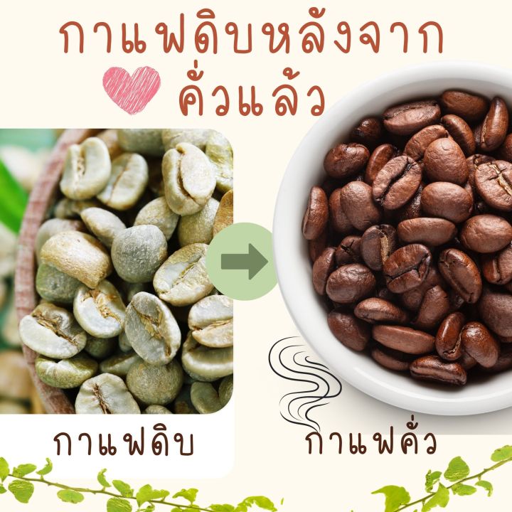 กาแฟดิบ-คัดคุณภาพ-เกรดa-กาแฟเชียงราย-โรบัสต้า-100-dry-process-green-coffee-beans-ขนาด-250กรัม-หอมสุดๆ