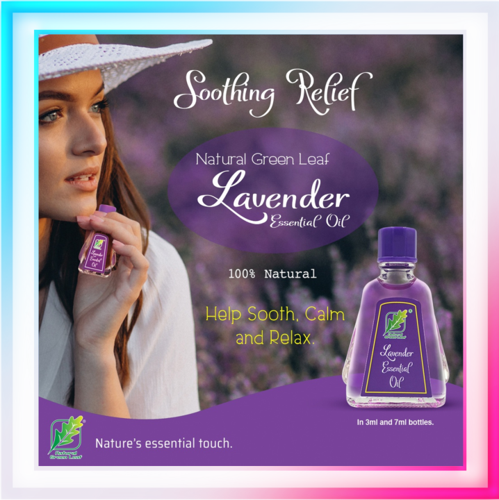 LAVENDER ESSENTIAL OIL Lavender essential oil lavender essential aroma