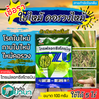 ? บีนทูไฟล์ (ไตรฟลอกซีสโตรบิน) ขนาด 100กรัม ป้องกันเชื้อราเมล็ดด่าง แอนแทรคโนส กาบใบแห้ง